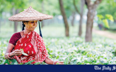 バングラデシュの茶園におけるハンセン病の蔓延率 ― 世界最高