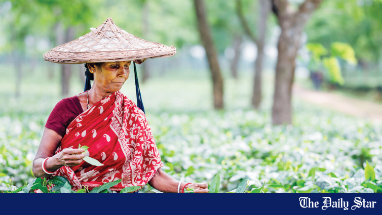 バングラデシュの茶園におけるハンセン病の蔓延率 ― 世界最高