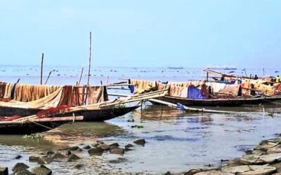 チャンドプルでの稚魚の無差別漁獲が水不足の懸念を引き起こす