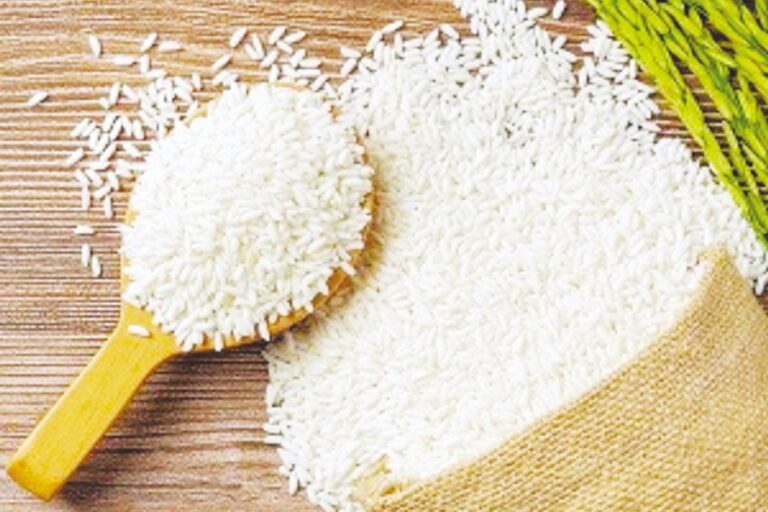 ラマダン前の輸出承認で香り米の価格が上昇