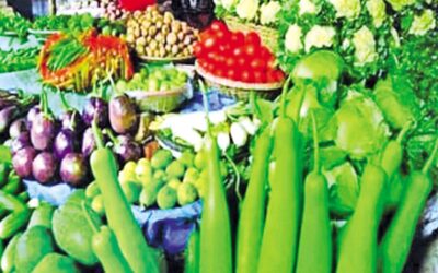 ラマダン前日にレモン、キュウリ、ナスの価格が上昇