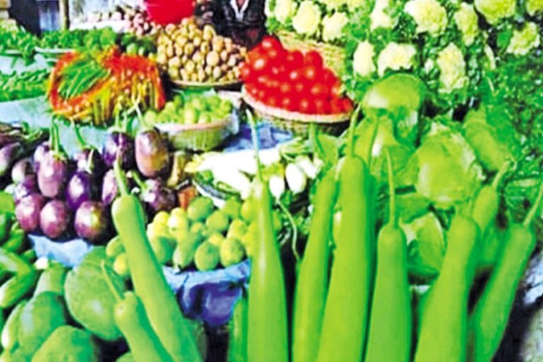 ラマダン前日にレモン、キュウリ、ナスの価格が上昇