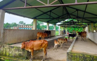 スナムガンジの100万タカ成長センターが18年間閉鎖