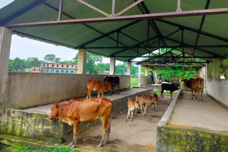 スナムガンジの100万タカ成長センターが18年間閉鎖