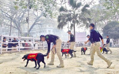 2月21日をめぐる脅威はない：DMP