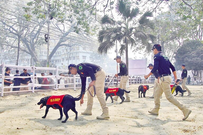 2月21日をめぐる脅威はない：DMP