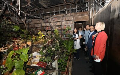 焼失したプロトム・アロビルでの美術展：「理想は火事では消えない」