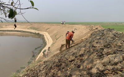 ハオールの農家は、作業期限の遅れにより作物の損失を懸念している