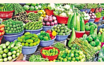 CTG市場で野菜価格が下落