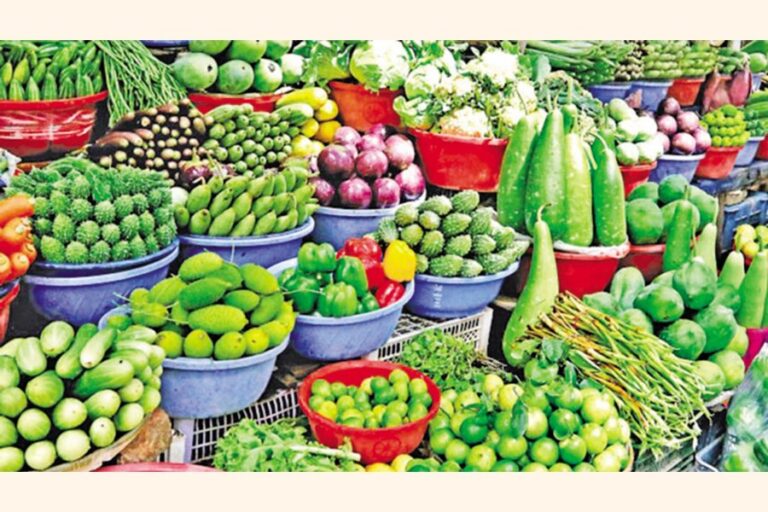 CTG市場で野菜価格が下落