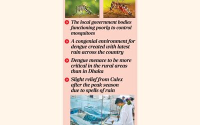 専門家らは、今年のデング熱の状況は悪化する可能性があると指摘している。