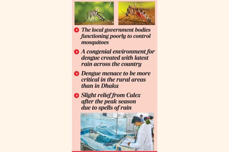 専門家らは、今年のデング熱の状況は悪化する可能性があると指摘している。