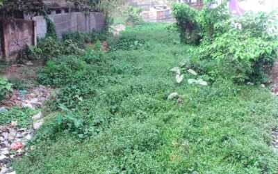 ラングプールの住民は、蚊の猛威に脅かされている。