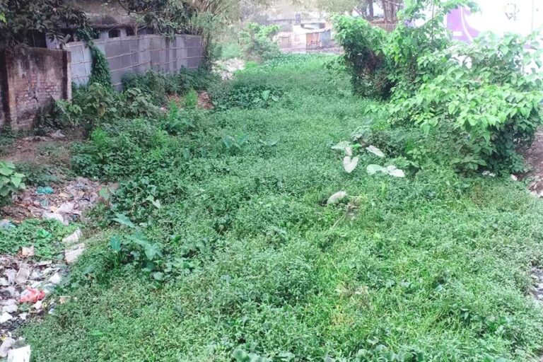 ラングプールの住民は、蚊の猛威に脅かされている。