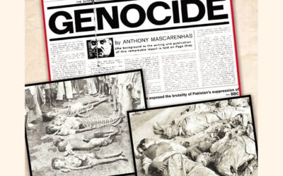 1971年のジェノサイドに関する誤情報