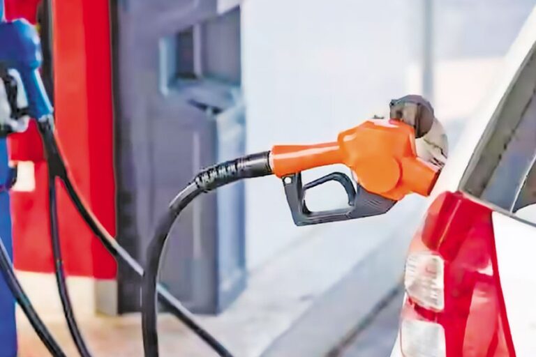 大きな危機は起きていない、値上げの決定もしていない：情報相