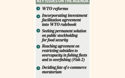 BDはWTOにおける移行期間の延長を強調する