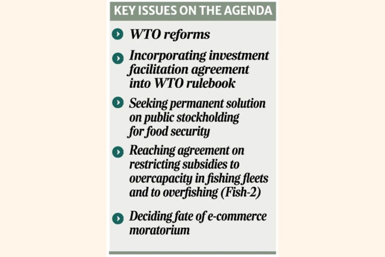 BDはWTOにおける移行期間の延長を強調する
