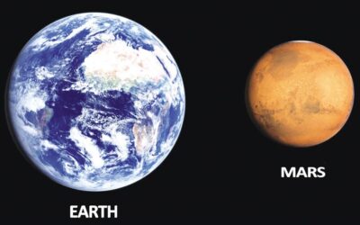 生命の多様な形態