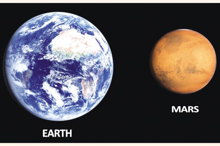 生命の多様な形態