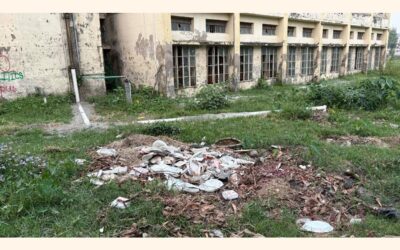 蚊の襲来は脅威の増大