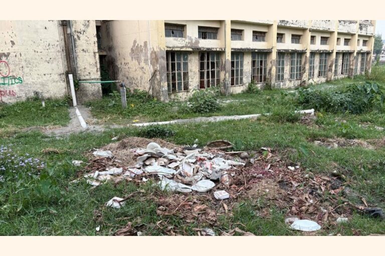 蚊の襲来は脅威の増大