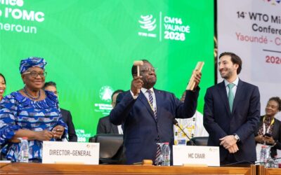 WTO-MC14：節約策