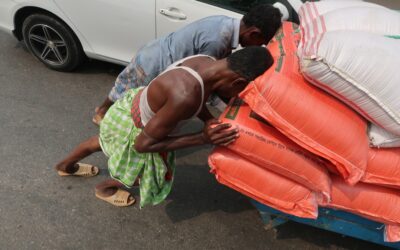 雇用の創出と成長の促進 – どこに重点を置くべきでしょうか?