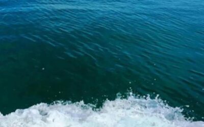 EUの監視機関によると、3月の海水温は過去最高に近い水準に達した。