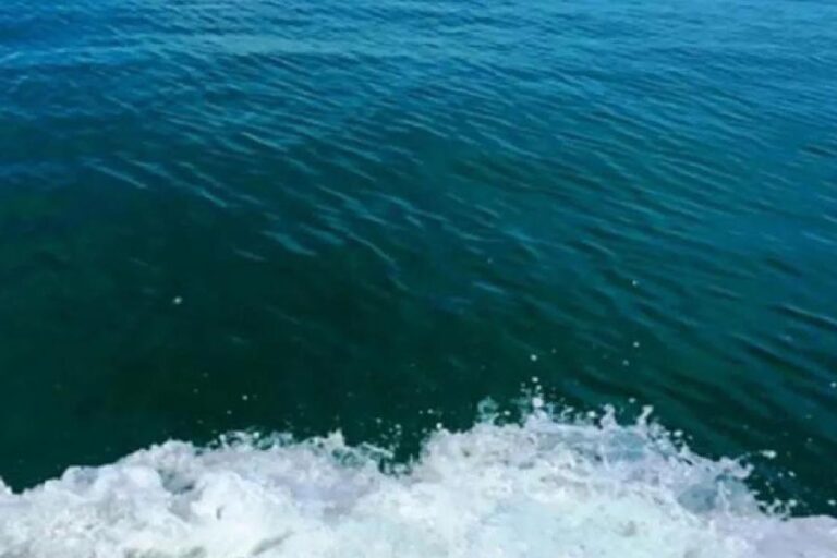 EUの監視機関によると、3月の海水温は過去最高に近い水準に達した。