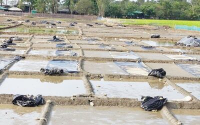 雨によりコックスバザールの塩田に甚大な被害が発生