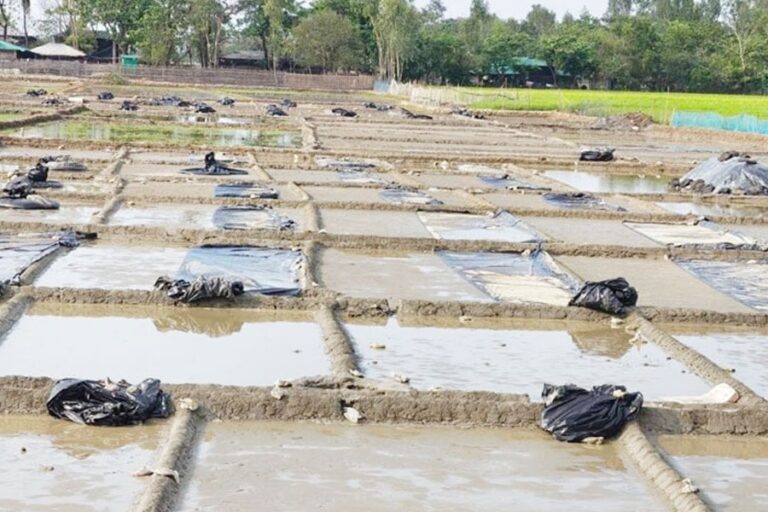 雨によりコックスバザールの塩田に甚大な被害が発生