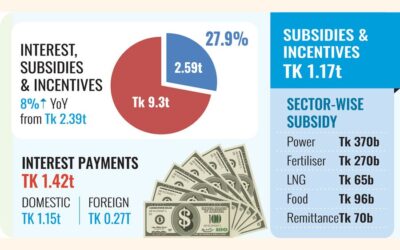 利払い、補助金、大きなパイを飲み込むためのインセンティブ