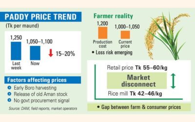 ボロ収穫期を前に、米の価格が下落