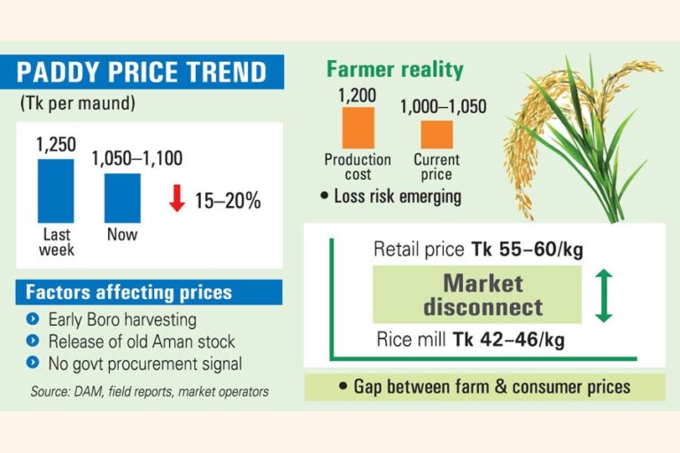ボロ収穫期を前に、米の価格が下落