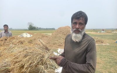 農家は「私たちは生きるために農業をしているだけで、利益は出ていない」と語る。