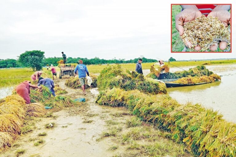 首相は、被害を受けたハオール地域の農民への支援を発表した。