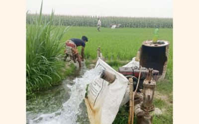 ディーゼル燃料の供給不足がN地域のボロ灌漑に影響を及ぼす