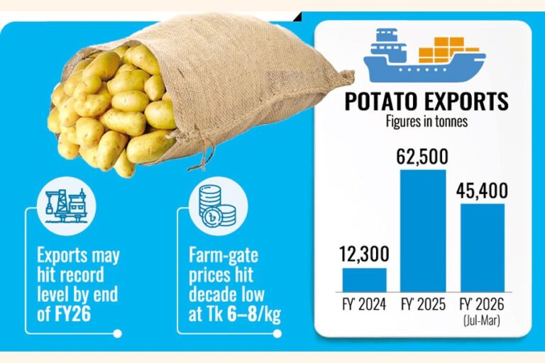 ジャガイモの輸出は増加するも、価格の急落で農家は苦境に立たされている。