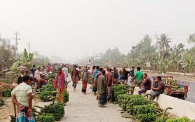 ボグラの路傍のバナナ市場は農村経済の礎石である