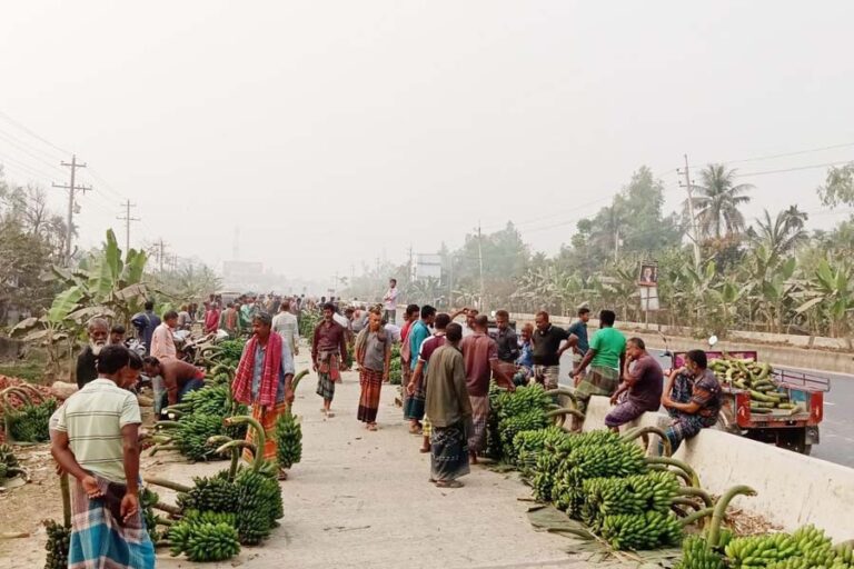 ボグラの路傍のバナナ市場は農村経済の礎石である