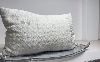 ルップールでの汚職：枕が約9万タカで購入されていた