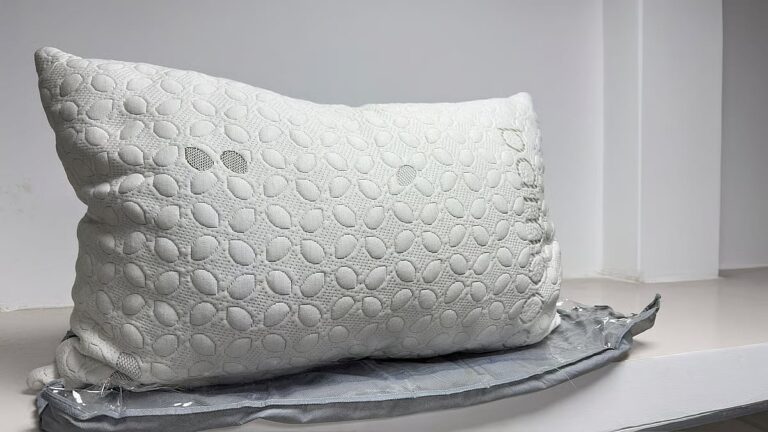 ルップールでの汚職：枕が約9万タカで購入されていた
