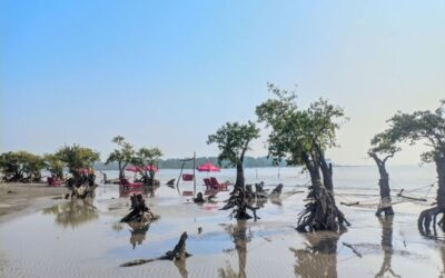 クアカタでは観光客の流入が増加傾向にある。