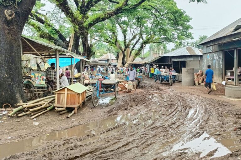 ギオール市場はインフラ整備の不備で苦境に立たされている。