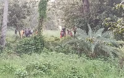 国境警備隊（BSF）がチャパイナワブガンジ国境で28人を押し込もうとする