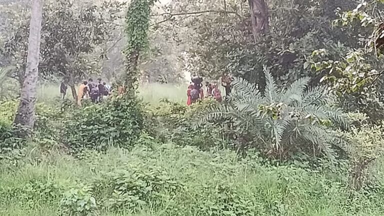 国境警備隊（BSF）がチャパイナワブガンジ国境で28人を押し込もうとする