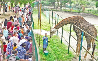 数千人の観光客や家族連れがバングラデシュ国立動物園に押し寄せた