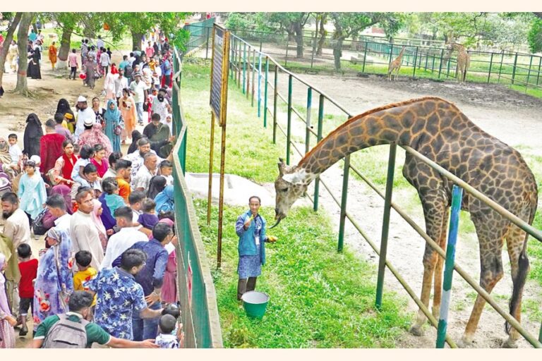 数千人の観光客や家族連れがバングラデシュ国立動物園に押し寄せた