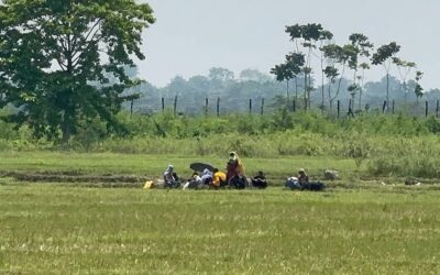 国境警備隊が女性や子供を含む13人をジョソール国境から「押し込もう」